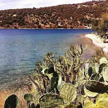 Appartement By The Beach, Evia Island