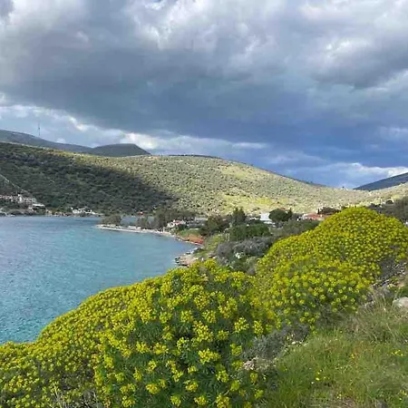 By The Beach, Evia Island
